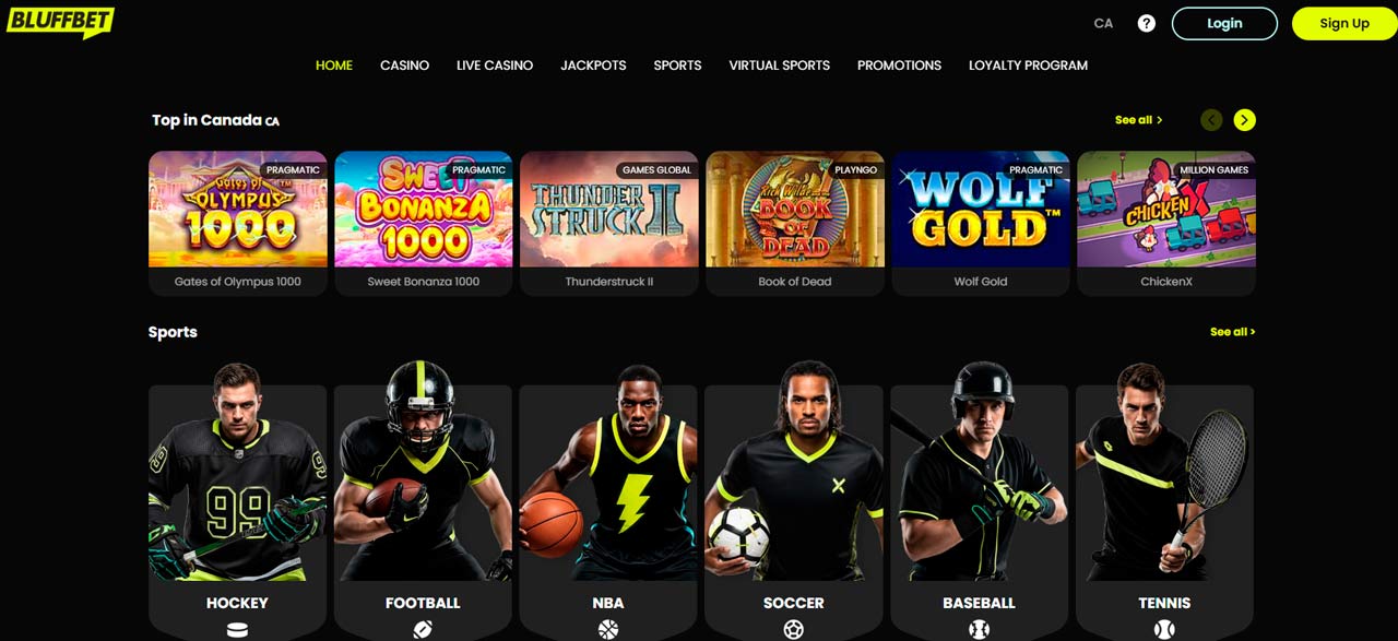 Bluffbet Casino screen